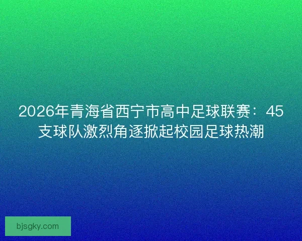 2026年青海省西宁市高中足球联赛:45支球队激烈角逐掀起校园足球热潮 2026年青海省西宁市高中足球联赛:45支球队激烈角逐掀起校园足球热潮